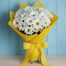 Букет цветов из:  Хризантемы в Индустриальный Краснодар