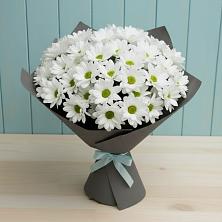 Букет цветов из:  Хризантемы в Индустриальный Краснодар