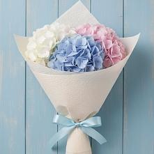 Букет цветов из:  Гортензия в Индустриальный Краснодар
