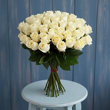 Букет 51 Белая роза Эдлесс Лав #REPLACE_PRED# Индустриальный Краснодар