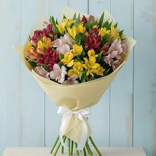 Букет цветов из:  Альстромерии в Индустриальный Краснодар