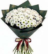 Букет цветов из:  Хризантемы в Индустриальный Краснодар