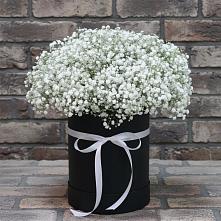 Цветочная композиция из Гипсофила в шляпной коробке в Индустриальный Краснодар