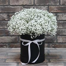 Цветочная композиция из Гипсофила в шляпной коробке в Индустриальный Краснодар