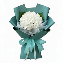 Букет цветов из:  Гортензия в Индустриальный Краснодар